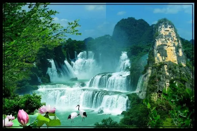 工业全自动